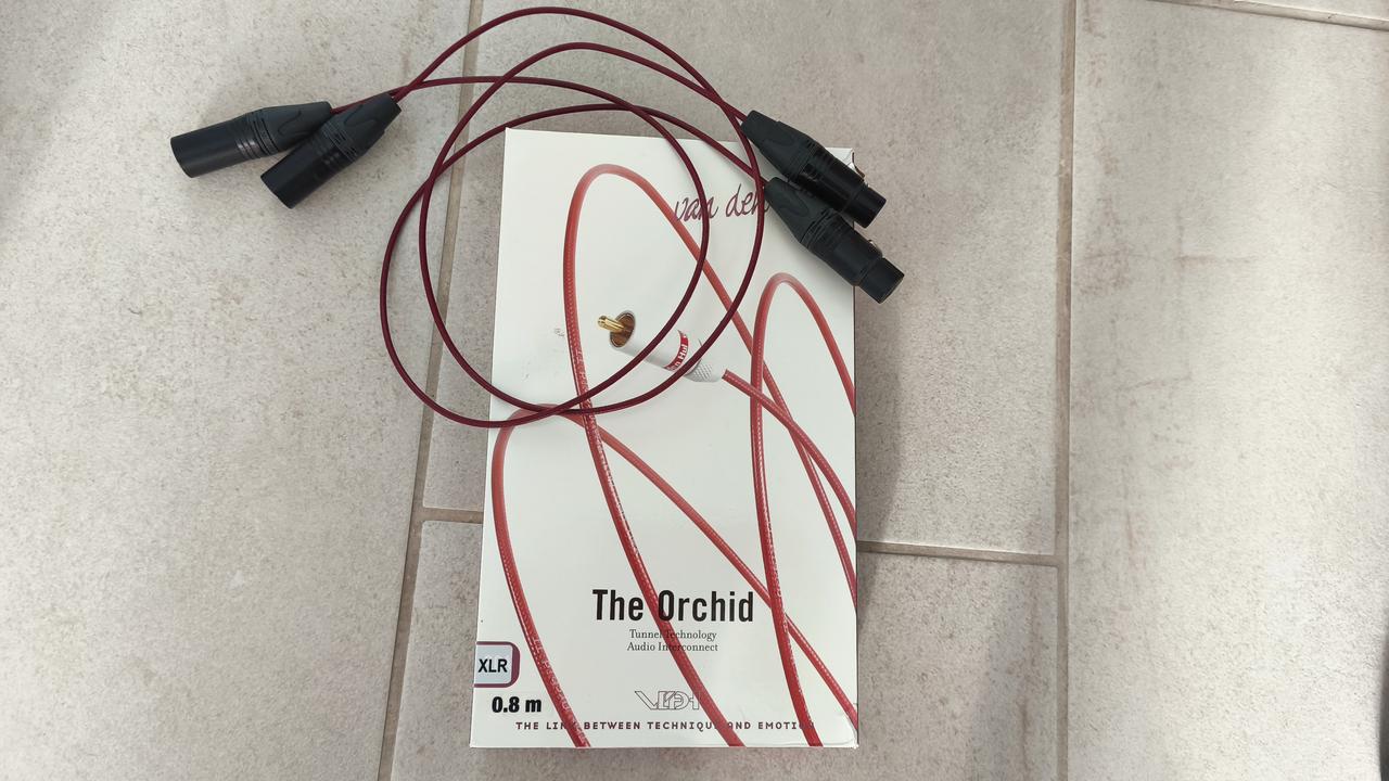 [Image: IMG-20251224-102838.jpg]