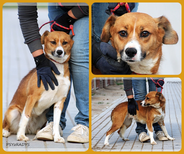 BeFunky-collage (21)