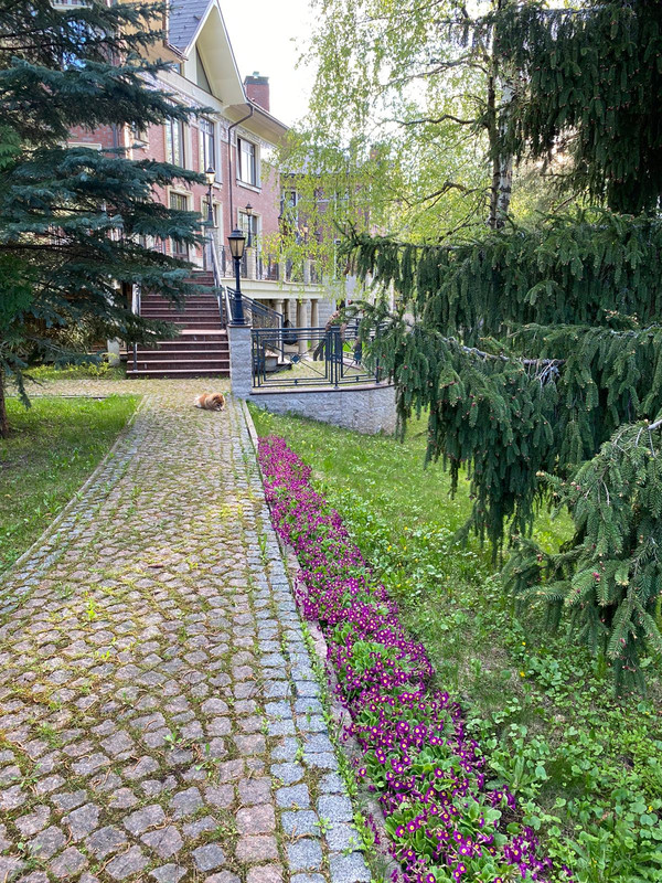 08335053-D82B-4EB5-85C6-4AD1BEE2BEAE