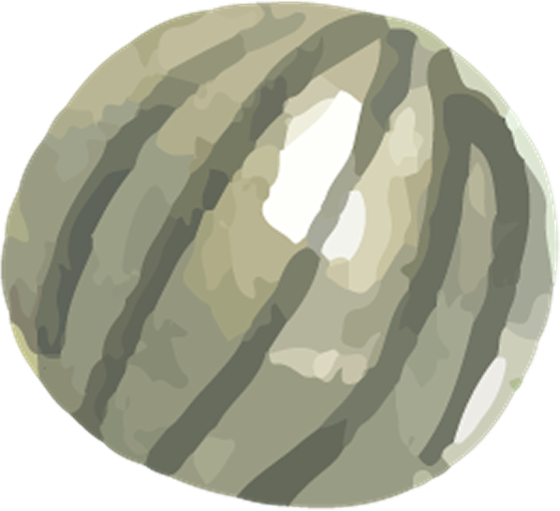 IPD_WP_Element (118)