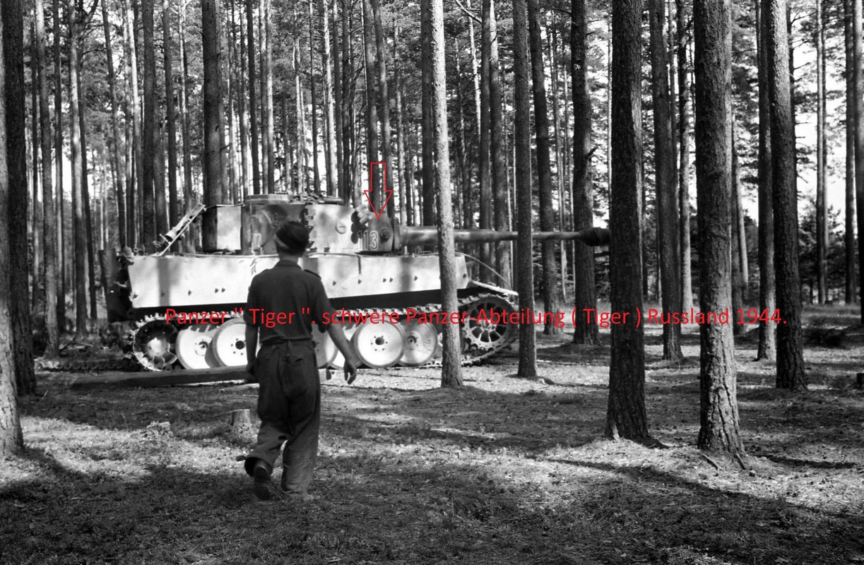 schwere Panzer-Abteilung ( Tiger ) Russland 1944