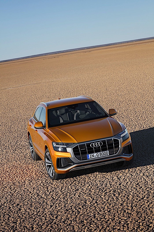 2019 Audi Q8 (11)
