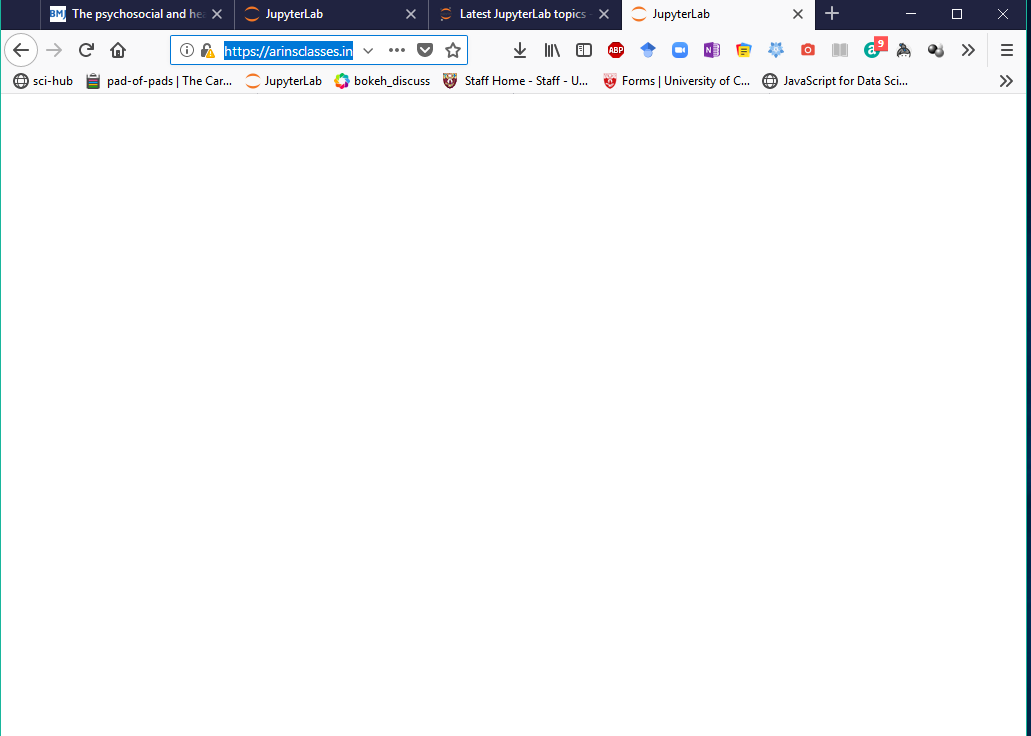 Blank Browser Screen When I Start Jupyter Lab On Jupyterhub What Shall I Do Jupyterlab Jupyter Community Forum