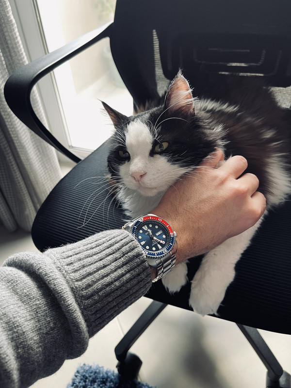 4F044F33-94EF-4971-B63D-1F0E43401033