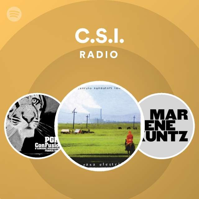 Consorzio Suonatori Indipendenti (C.S.I.) Radio (Compilation, 2020) mp3 320 Kbps