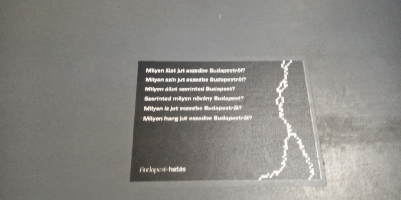 Kép