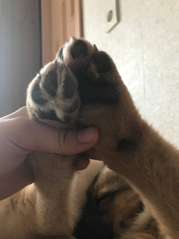 E6D616DE-7834-4BD1-8068-C9DABBC3D370