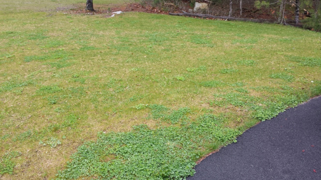 20140427_122617_resized