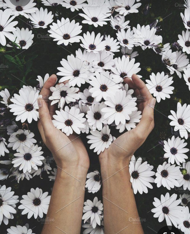 Screenshot_20230702_231442_Pinterest