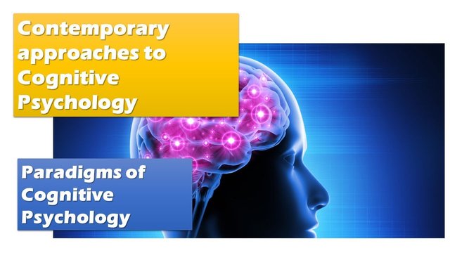 maxresdefault - Cognitive Psychology 2024