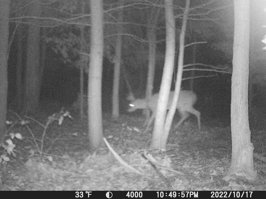 117AF6E0-3041-4EFA-AF4F-9512A287AC70