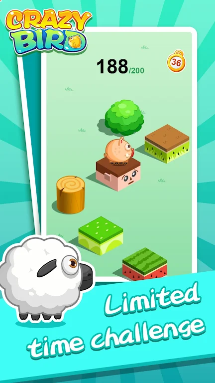 Download Crazy Bird APK