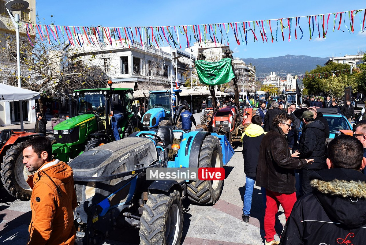 agrotes-DSC-0892