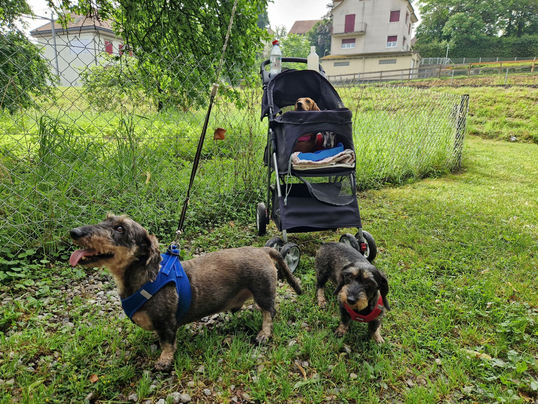 [Image: 20240629-095728.jpg]