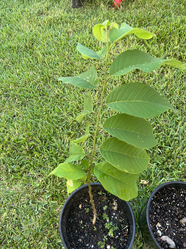 6D214C7E-1242-4748-9009-27C667093110