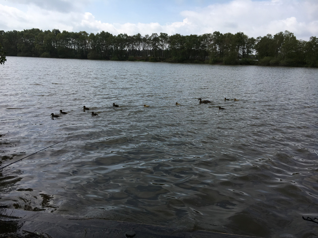 IMG 3356 — Postimages