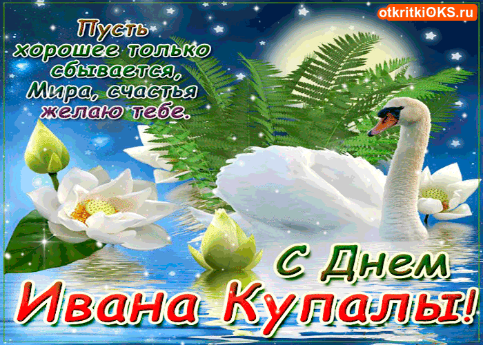 image.gif