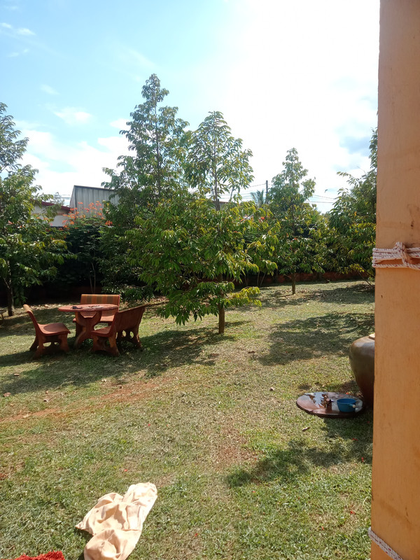 IMG20260612145041