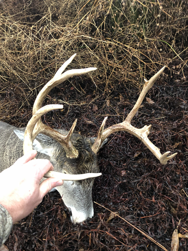 0AAD8F23-C474-4462-860F-3CFC1BA37383