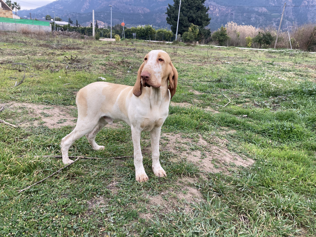 56F06CCA-91FF-4EA4-90A3-E68AFE1B585C