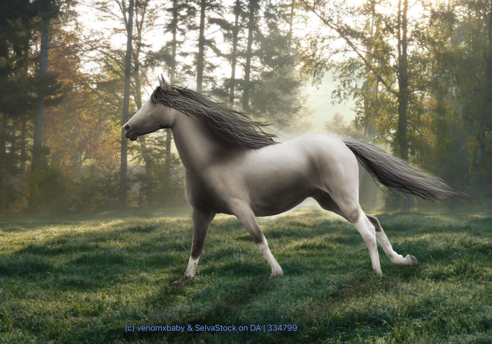 4491D09C-FFE0-4DCA-A3D9-7354F3F53423