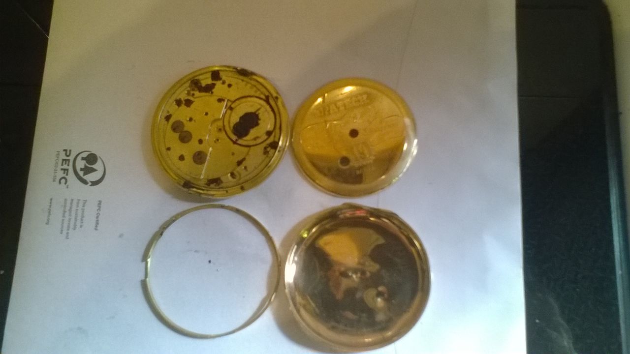 WP_20160504_17_44_54_Pro_1