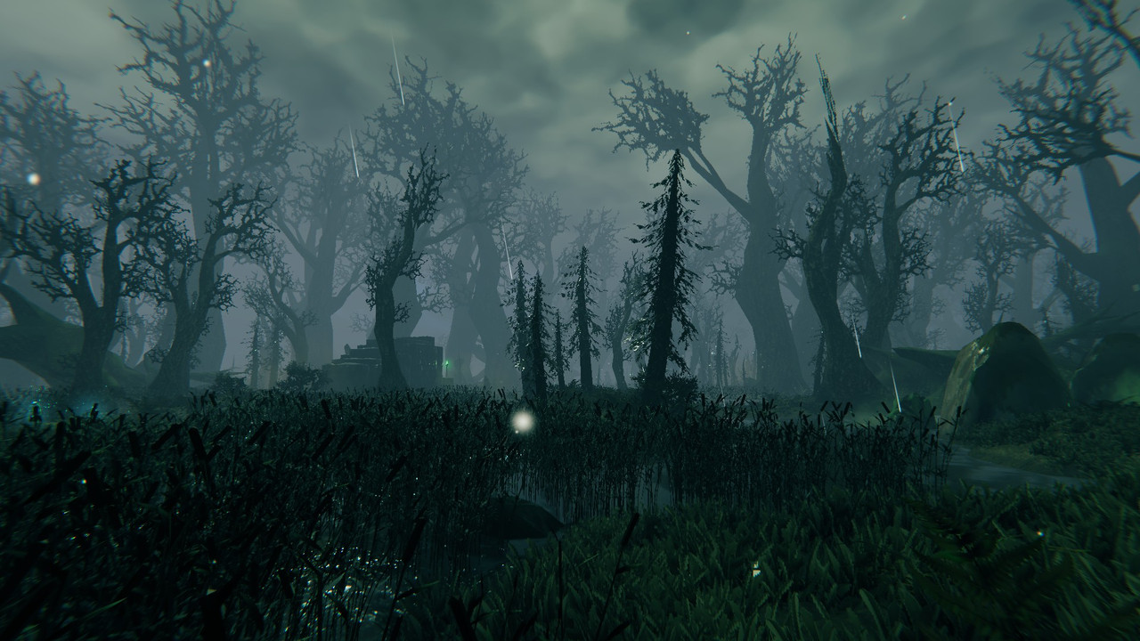 Swamps-1