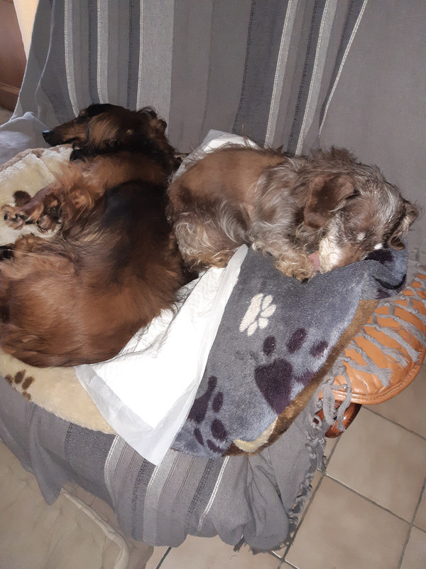 [Image: 20210402-125751.jpg]