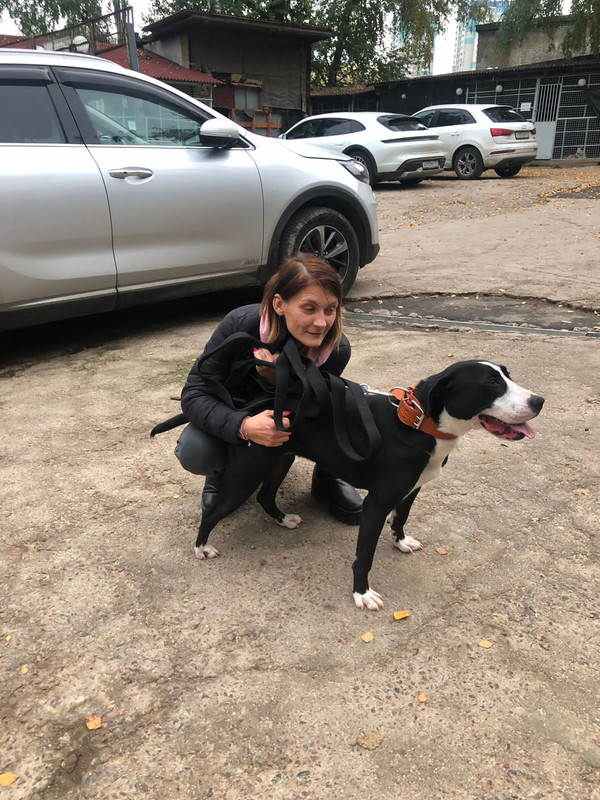 AA9698EE-7C37-4606-A738-BDA34E0EE1BB