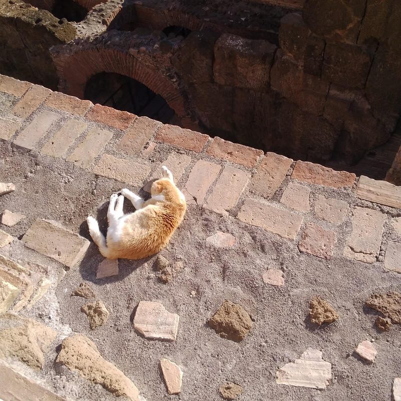 La mia vita. Римские записки, дневник онлайн La mia vita. Римские записки, дневник онлайн