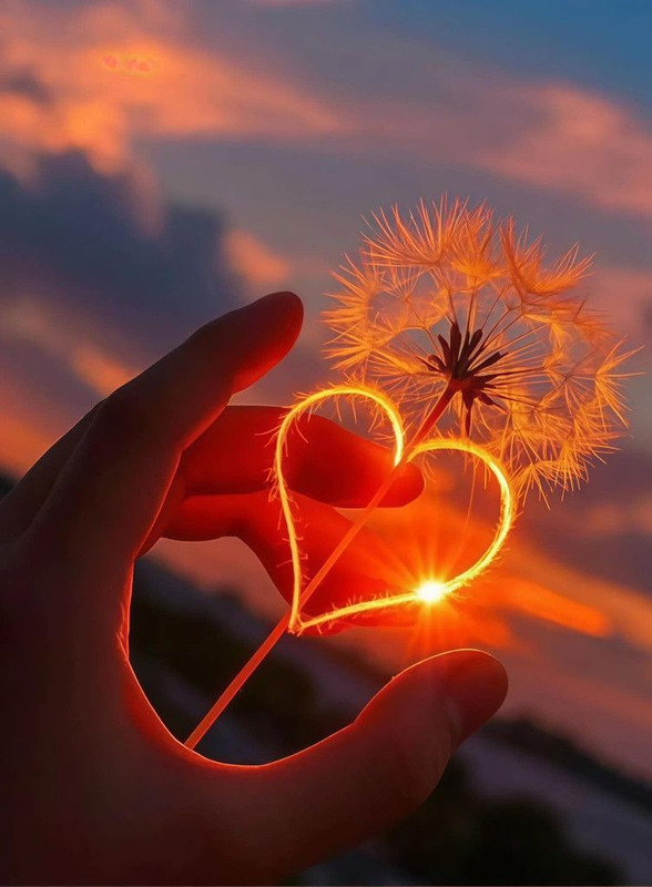 af879da6882354a623aa4538c609e938