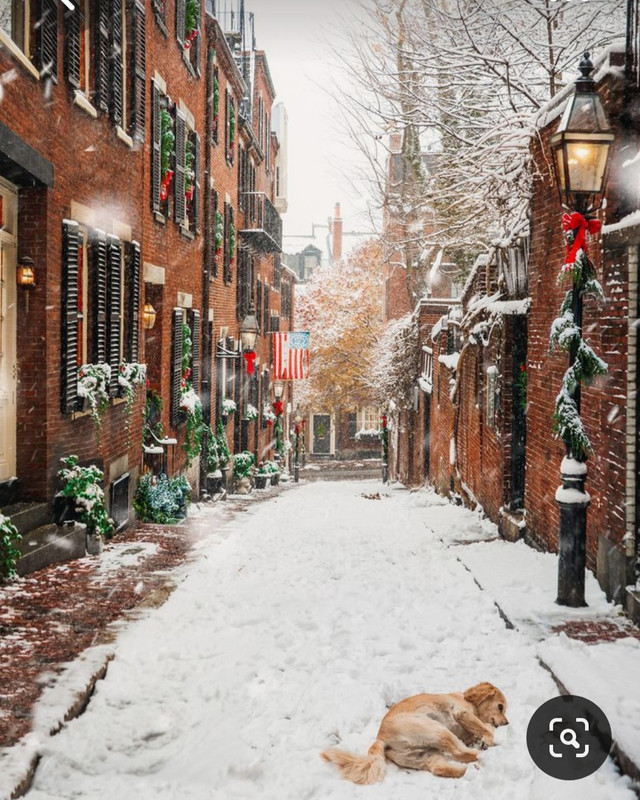 Screenshot_20230531_221452_Pinterest