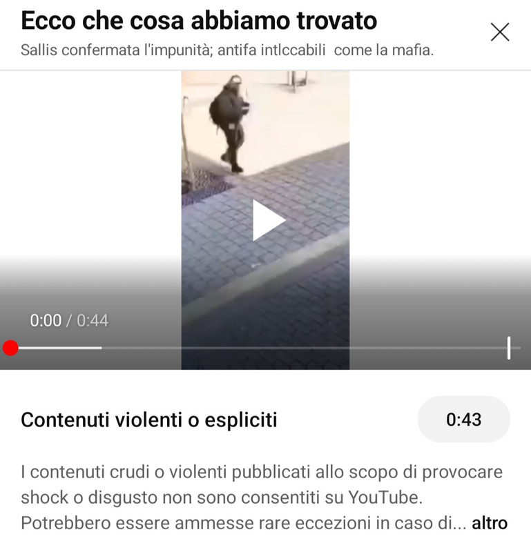 Youtube censura l’aggressione di Ilaria Salis Youtube censura l’aggressione di Ilaria Salis