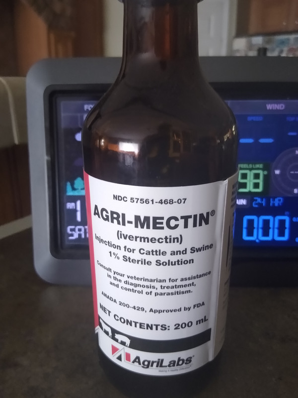 IMG_20210807_125641562