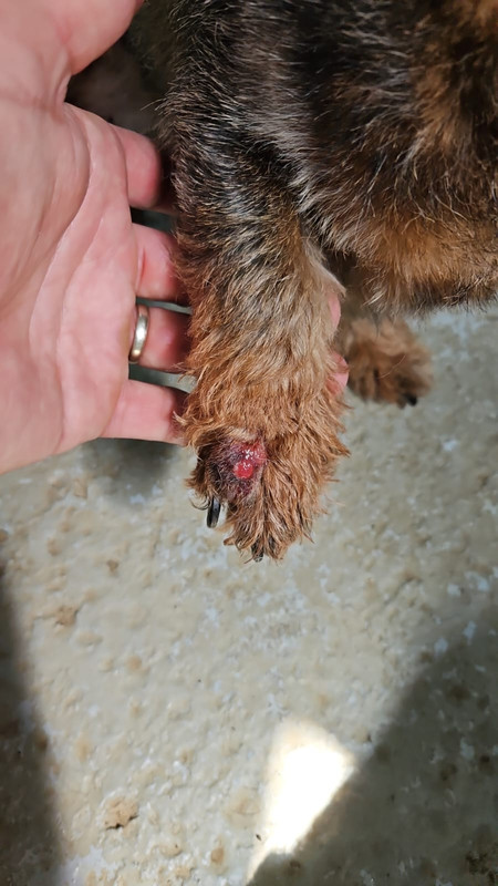 [Image: IMG-20240719-WA0004.jpg]