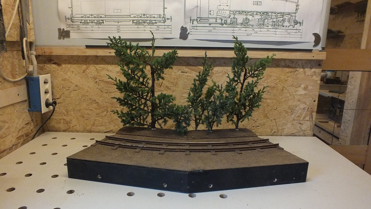 Gehölzrand für Module (23)