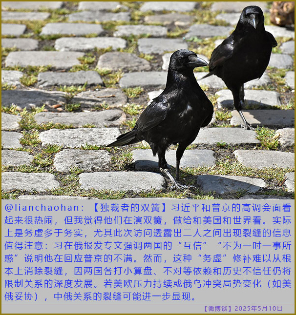 https://i.postimg.cc/QCDW21R0/20250510-bt-1.jpg
