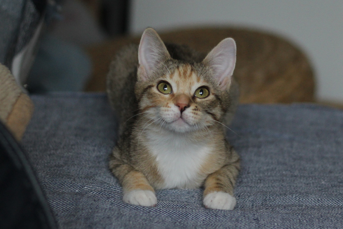 IMG_2315 — копия