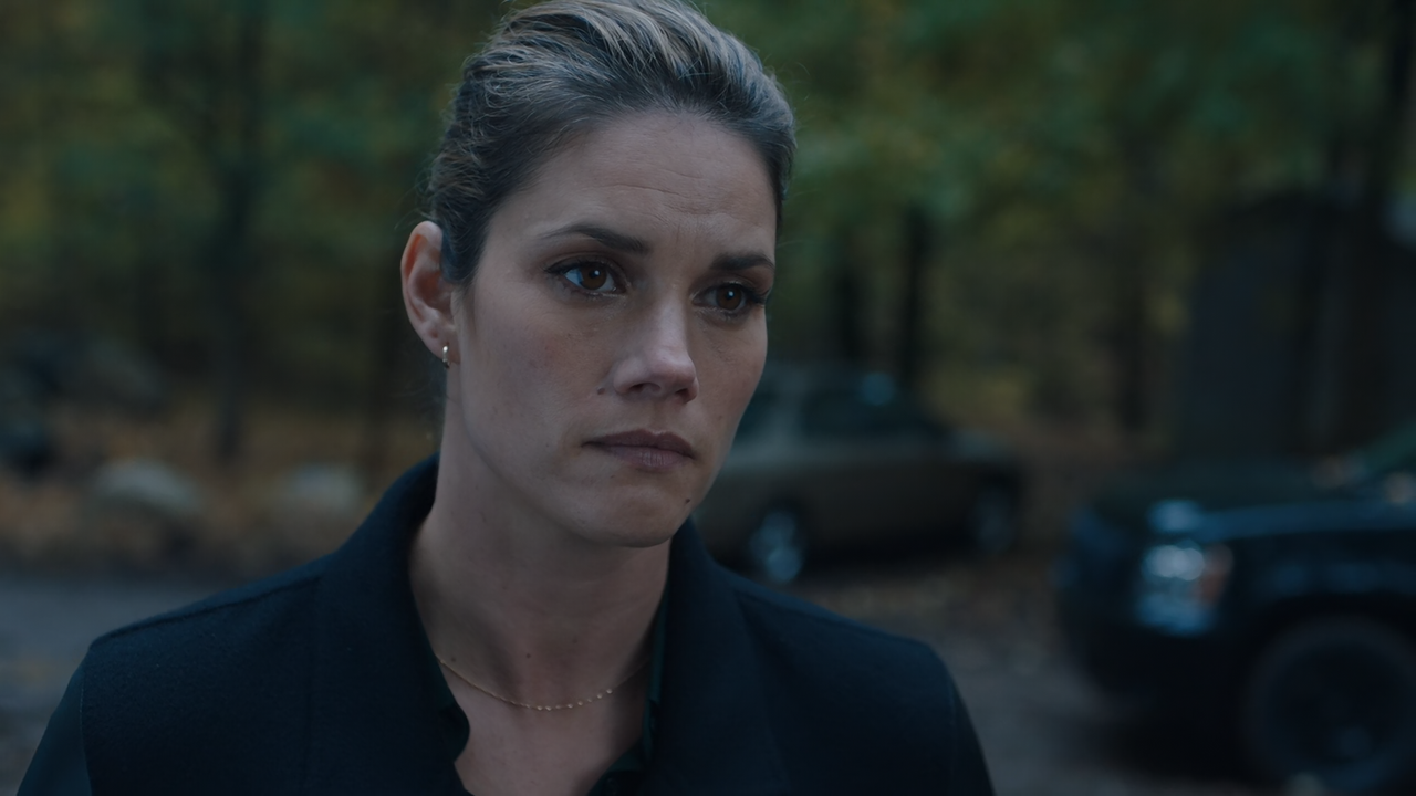 FBI.S03E02.Unreasonable.Doubt.1080p.10bit.AMZN.WEB-DL.DDP5.1.HEVC-Vyndros.mkv_snapshot_19.33_[2020.1