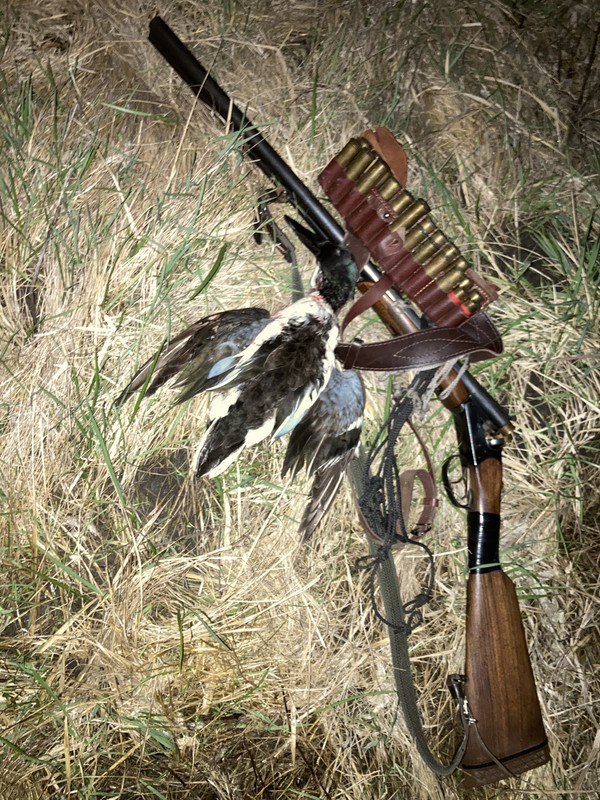 04667DDA-E62C-4524-BF1C-58CB0A254562