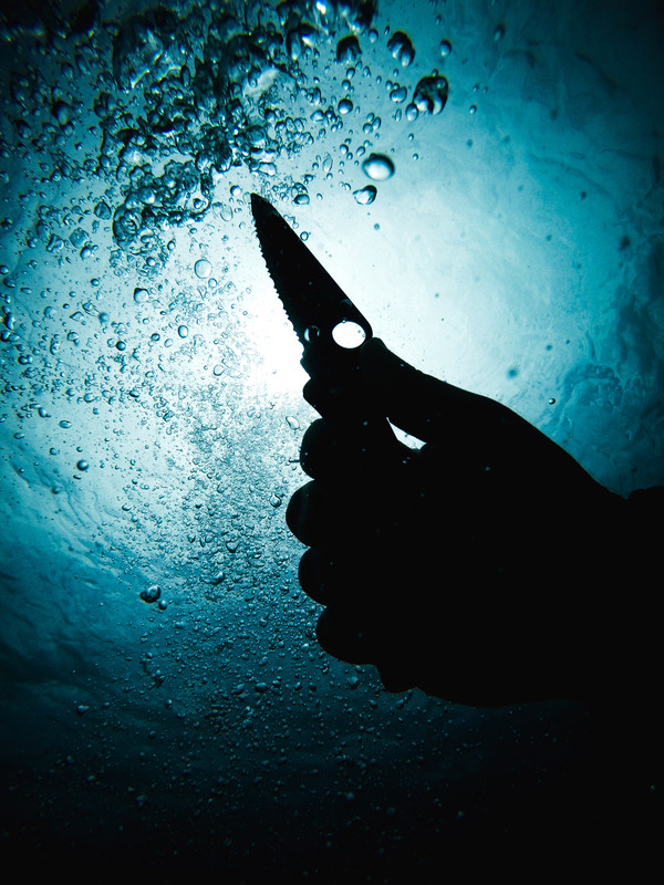 7DACA576-A53D-4F70-9B42-5348CD6ACA63