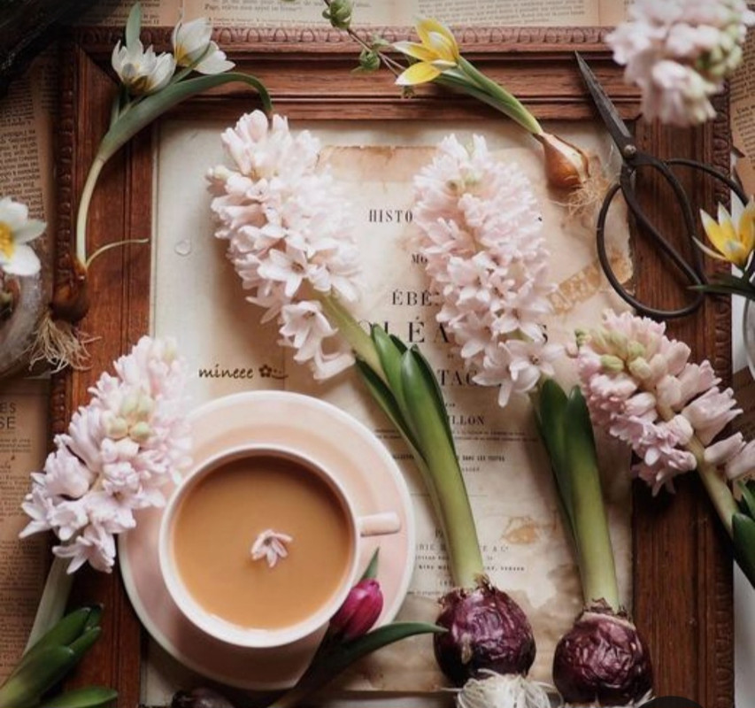 Screenshot_20230322_002829_Pinterest