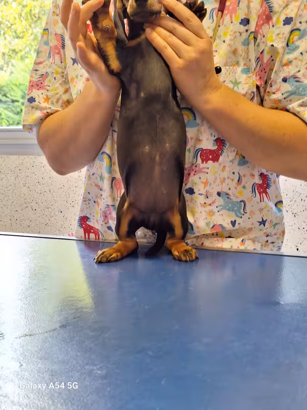 [Image: 20240920-170648.avif]