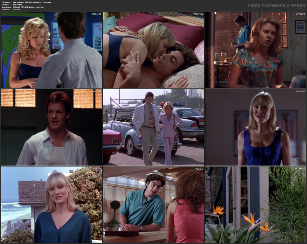 Silk Stalkings S06E09 Partners In Crime.mkv