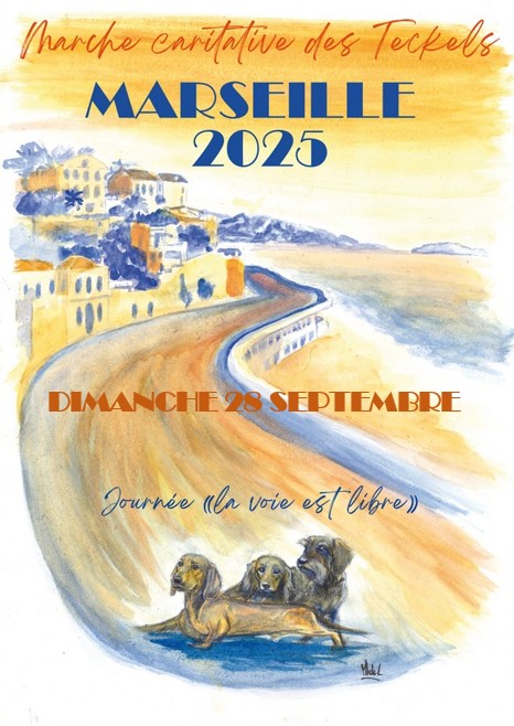 [Image: 540991651-1684446025506182-2448524077614636290-n.jpg]