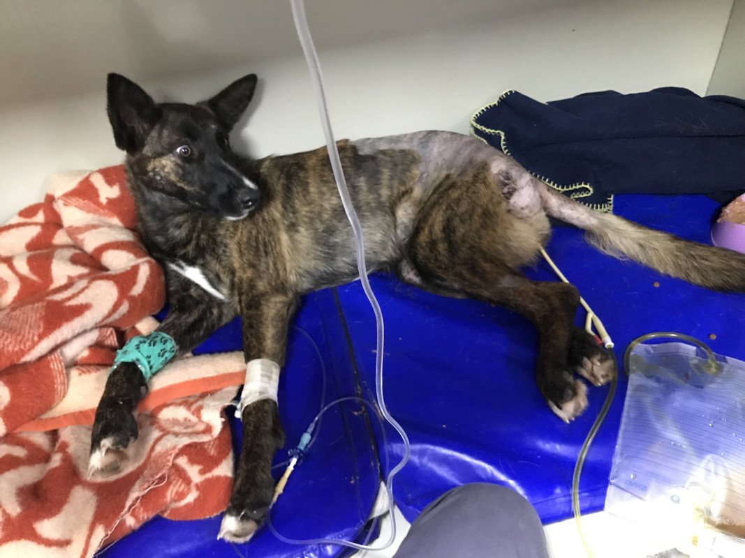 59585855-6EA5-49E8-AF2B-A0A42A892B08