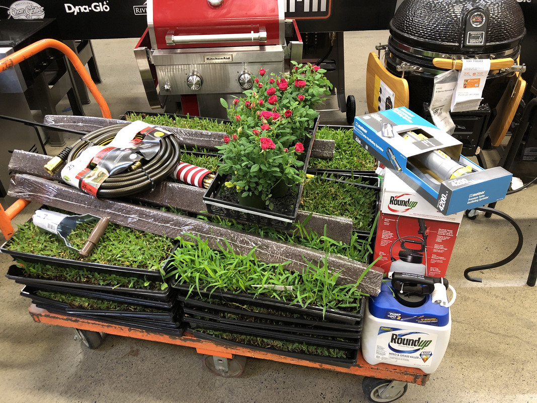 D1CF12F3-40BF-4F86-9BE0-8343BB27CAD6