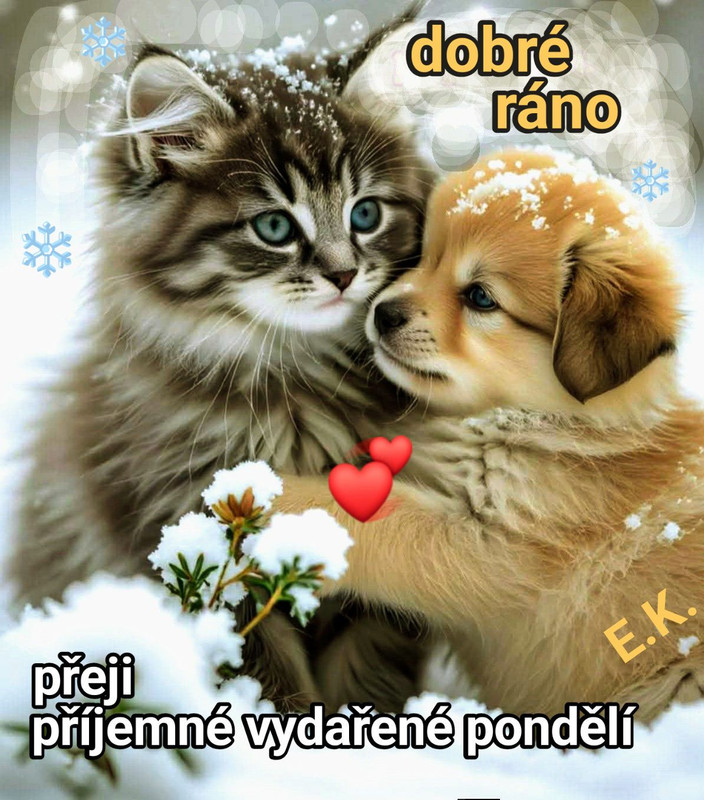 630666631 871738649183753 4507831940489998686 n