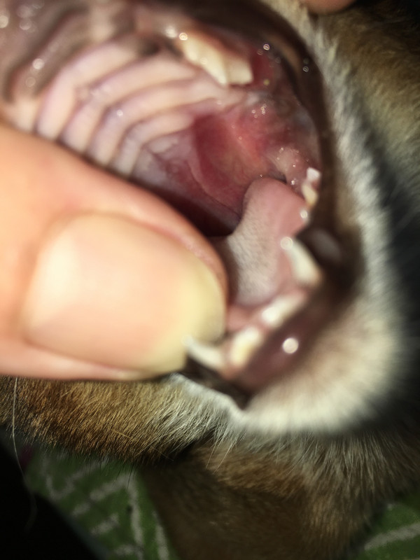 01DB8AAF-11F2-45EB-B07C-E0C162239070