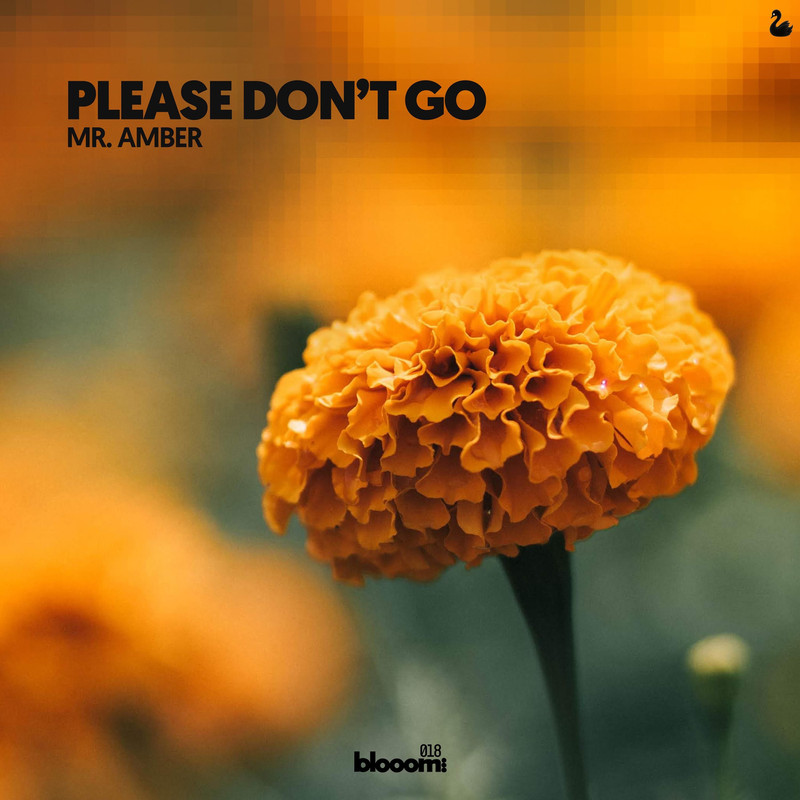 Amber Revival, Mr. Amber - Please Don't Go (Extended Mix)